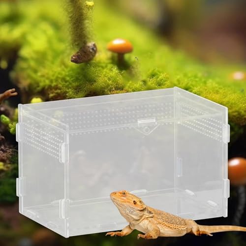 Reptile Breeding Box Terrarium Clear Animal Habitat Cage with Ventilation Holes for Geckos Frogs Hermit Crabs- 20x12x12cm - size: 20x12x12cm
