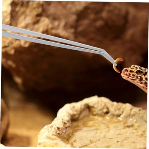 Heavy-Duty Stainless Steel Reptile Feeding Tongs Long Handle Tweezers for Aquatic and Terrarium Use Angled Design for Precision Feeding for Lizards and Snakes
