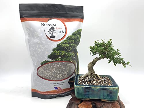 Bonsai Soil by The Bonsai Supply – 2qts. Professional Bonsai Soil Micro Mix | Ready to use| Great for All Bonsai Tree Varieties. - size: 2 Quarts Micro Mix / Shohin