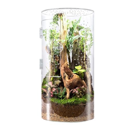 Luocute Tall Arboreal Tarantula Enclosures, Jumping Spider Terrarium Acrylic Reptile Tank 12x6x6 Inch with Front Opening Door, for Lizards Snails and Vertical Climbing Pets