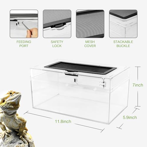 Reptile PC Terrarium Amphibian Tank Spider Enclosure Snake Cage 7x11.8x5.9inch Suitable for breeding Leopard Gecko,Frog,Hermit Crab,Lizards,Isopod,Tarantula,Turtles,Chameleons,Jumping Spiders - size: Large