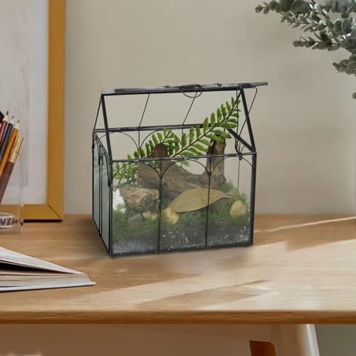 Ferrisland Glass Plant Terrarium Container Wardian Case Indoor Small Succulent Terrarium Planter W/Door for Tabletop Decor DIY (6" L x 4.3" W x 6.3" H) - size: 6" L x 4.3" W x 6.3" H