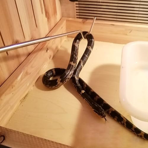 HANABASS Mini Snake Hook 27 Inch Stainless Steel Snake Stick Snake Accessories Catching Snake Handling Tool