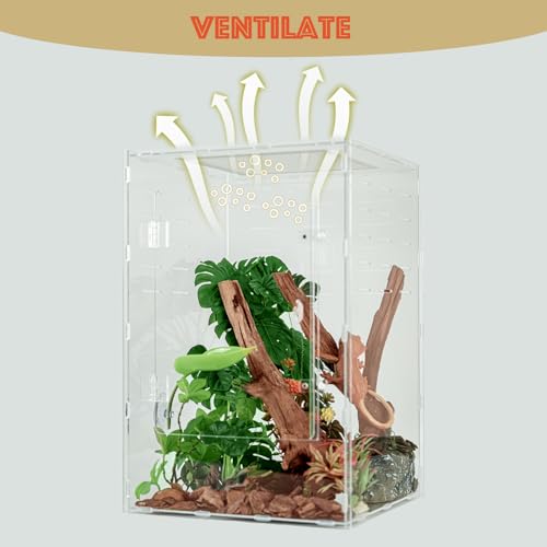 12" x 12" x 18" Reptile Enclosure, Clear Acrylic Terrarium with Front Opening Doors, Screen Top Ventilation, Secure Lock for Arboreal Reptiles - color: Clear