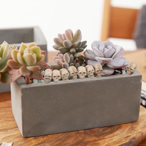 ABOOFAN 20pc Resin Mini Skulls - Halloween Skull Head Decor for Home Table & Garden