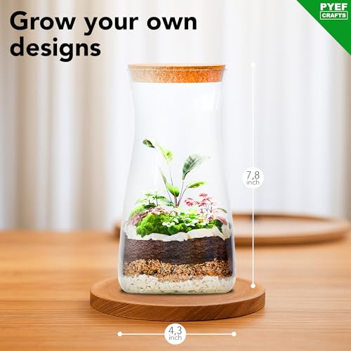 Terrarium Kit for Plants DIY | Starter Pack – Closed Ecosystem – 34 fl oz Glass – Succulents, Air Plants, Bonsai, Indoor Plants – (Plants Not Included) - size: 34 fl oz