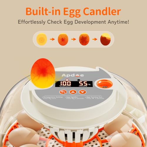 APDOE Egg Incubators for Hatching Eggs, Temperature and Humidity Control, Automatic Egg Turning, Egg Candler, External Water Bottle, Air Vent, for Chicken, Duck & Quail Eggs, 12 Eggs - size: 12 Eggs