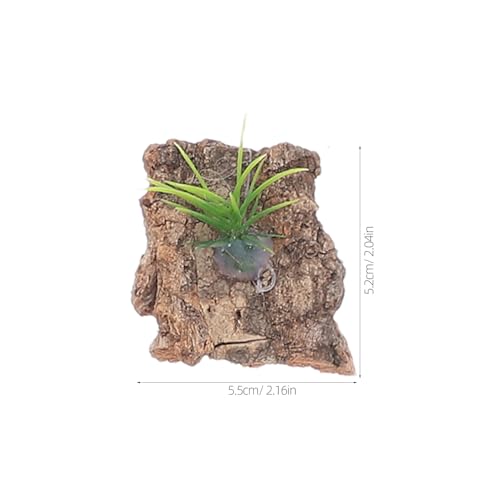 Sosoport 20pcs Natural Cork Bark for Terrarium Reptile Tank Background Tree Bark Hide Platform for Snakes Lizards Turtles Stable Climbing and Hiding Aquarium Decoration