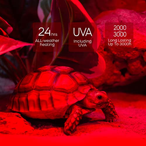 WACOOL 4 Pack Reptile Heat Lamp Bulbs,100W Infrared Basking Spot Light for Reptiles & Amphibians, Red Heat Lamp Bulb for Bearded Dragon Gecko Turtle Lizard (75, Watts)… - style: 100W-4 PACK