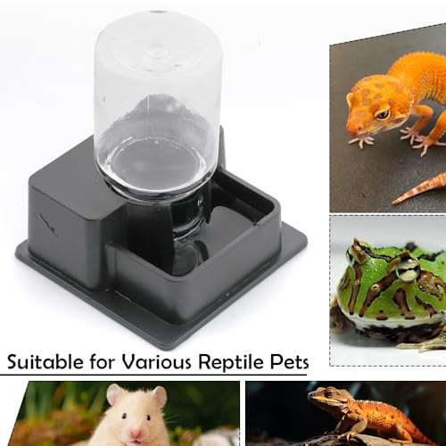 1 Pack Small Reptile Water Bowl Automatic Water Dispenser for Reptile Gecko Lizard Terrarium Bowl Feeder (Black)