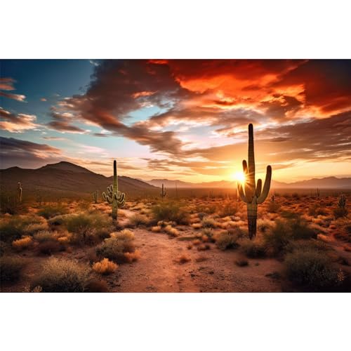 Reptile Habitat Background Sunset Desert Terrarium Background Towering Saguaro Cacti Silhouetted Against Sky Rugged Terrain Vibrant Desert Colors Landscape Tank Backdrop Vinyl 30x18in - color: Cacti Red, size: 30(W)x18(H)inches/ 75(W)*45cm(H)
