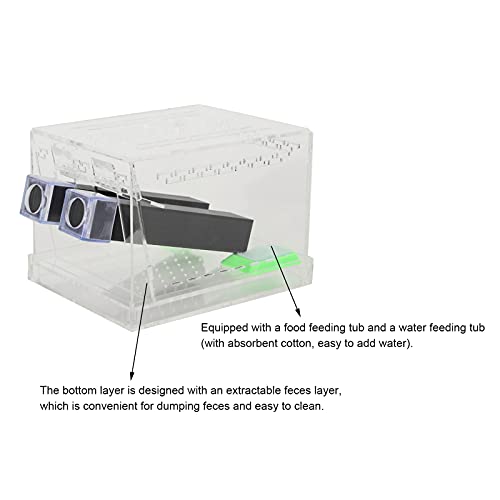bizofft Cricket Keeper, Cricket Keeper with Tubes Safe and Non- for Office for Home(L)