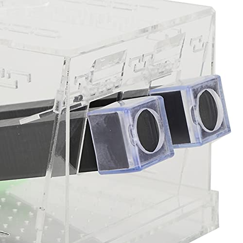 bizofft Cricket Keeper, Cricket Keeper with Tubes Safe and Non- for Office for Home(L)