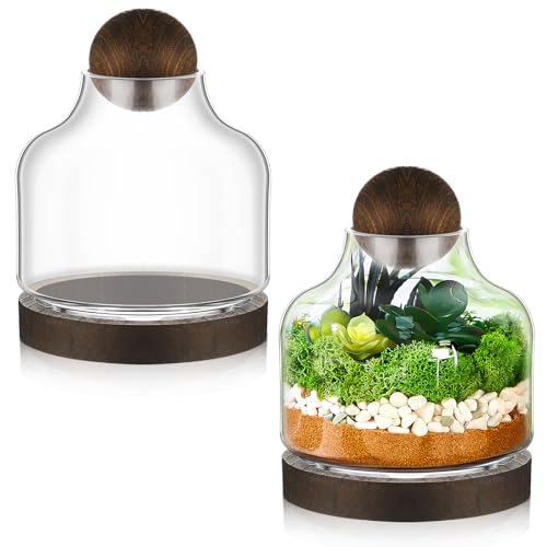 2 Pcs Glass Terrarium Container with Wooden Base and Decorative Ball Lid, 7 Inch DIY Terrarium Jar for Moss, Ferns, Air Plants and Succulents, Mini Indoor Garden Vase for Home Office Desk Decor