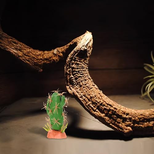 Artificial Reptile Cactus Plant for Terrarium Decor Water-Resistant Resin Simulation Non-Fading Plastic Ornament for Lizard Tank Landscaping Suitable for Amphibian Habitat and Pet