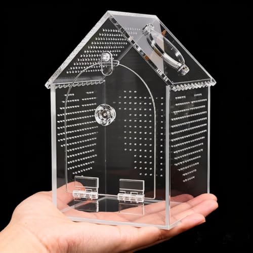 Cycodo Mini Jumping Spider Enclosure, Warp-Proof Acrylic Tarantula Terrarium, Front Opening Bug Habitat with Feeding Port for Praying Mantis, Snail, and Micro Reptile Habitat, 3" x 3" x 5" - size: 3"L * 3"W * 5"H