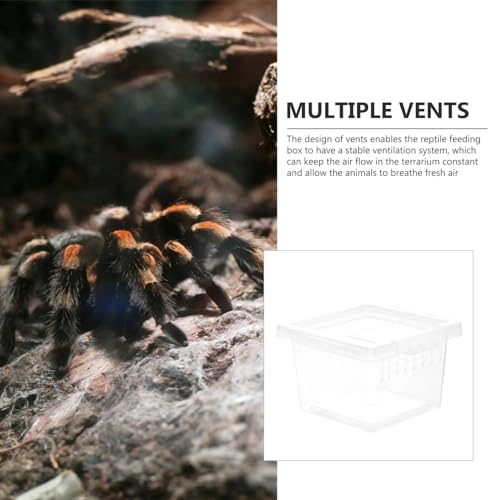 Alipis Reptile Breeding Box Pet Display Container for Turtles Spiders Snakes Lightweight Portable with Stable Ventilation for Fresh Air