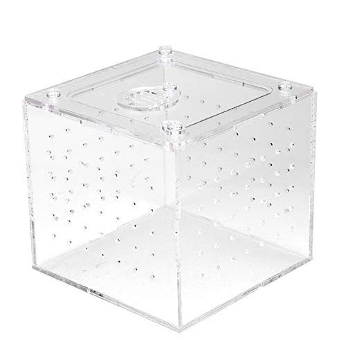 Pomya Transparent Acrylic with Ventilation | Feeding Hole Breeding Box for Insects Crabs Snakes Spiders Lizards