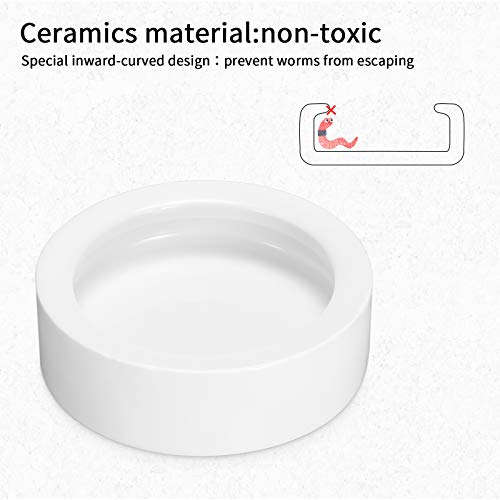 Meanplan 4 Pcs Reptile Bowl Food Dish Reptile Water Food Feeding Dish Ceramic Worm Pet Bowl Anti Escape Feeder for Lizard Anoles Chameleon Bearded Dragon Hermit Crab(2.71 Inch) - size: 2.71 Inch