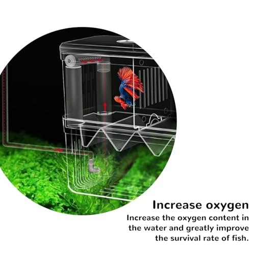 Mipukbay Aquarium Small Isolation Breeding Box, Acrylic Transparent Aquarium Breeder Box for Fish Fry Hatching, Shrimp Breeding, Betta, Guppy, Killifish, Clownfish, Suitable for Small Fish Tanks - size: Small