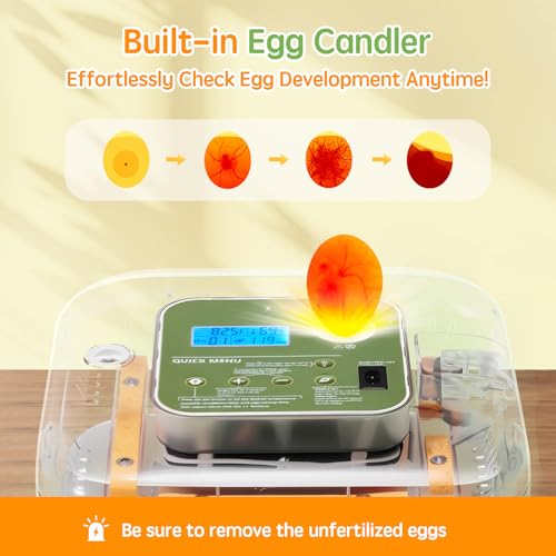 Incubator for Hatching Eggs Automatic Humidity and Temperature Control 12 Eggs Incubator, Digital Display Auto Turner 360° View Egg Candler for Chicken, Duck and Quail Bird Eggs