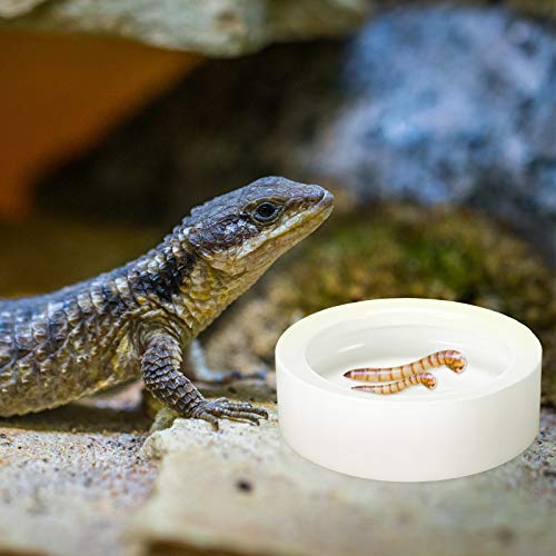 Meanplan 4 Pcs Reptile Bowl Food Dish Reptile Water Food Feeding Dish Ceramic Worm Pet Bowl Anti Escape Feeder for Lizard Anoles Chameleon Bearded Dragon Hermit Crab(2.71 Inch) - size: 2.71 Inch
