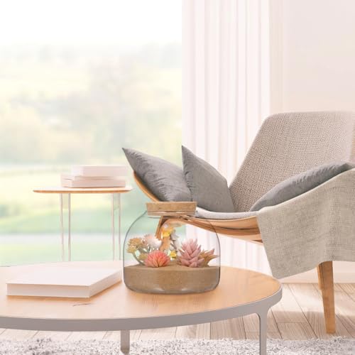 SUPVOX Glass Terrarium with Cork Lid - Glass Plant Terrarium, Plant Jar for Succulents & Small Fish Home & Office