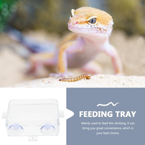 Amosfun Anti-Escape Reptile Feeding Bowl with Suction Cups, Large Food and Water Dish for Lizards, Geckos, Bearded Dragons – 2pcs Reptile Pet Feeders for Terrarium Use