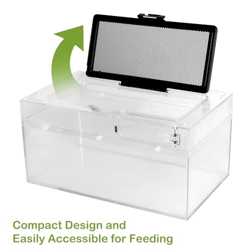 Reptile PC Terrarium Amphibian Tank Spider Enclosure Snake Cage 7x11.8x5.9inch Suitable for breeding Leopard Gecko,Frog,Hermit Crab,Lizards,Isopod,Tarantula,Turtles,Chameleons,Jumping Spiders - size: Large