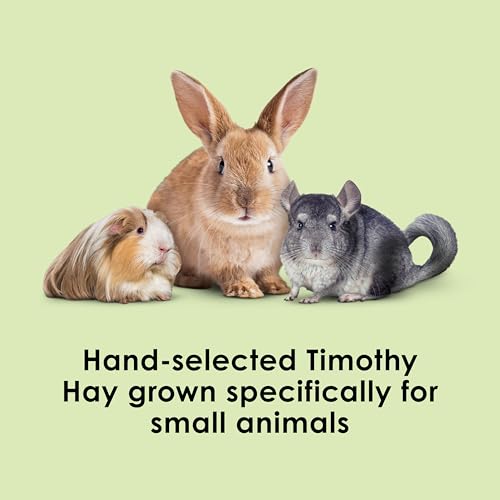 Kaytee Timothy Hay, High Fiber, Grown Specifically for Small Animals, Rabbits, Guinea Pigs, Chinchillas, Ideal Bulk Order for Small Pets, 2 Pounds - size: 2 Pound (Pack of 1)