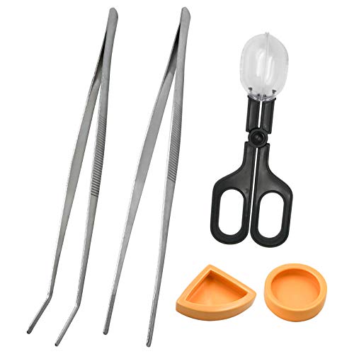 2Pcs Stainless Steel Feeding Tongs, Reptile Feeding Tweezers Long Handle Feeder Tools, Bug Feeding Clamp Cricket Tongs for Fish Aquariums, Reptiles Snakes Lizard Gecko Spider and Bird (Set 1)