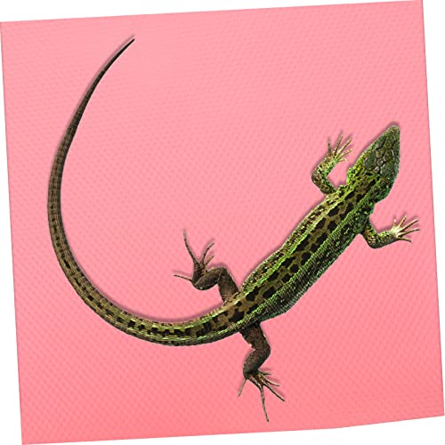 GALPADA Reptile Carpet Substrate for Terrarium Nonslip Reptile Bedding for Leopard Gecko Lizard Snake and Tortoise Sturdy and Easy to Clean Accessories