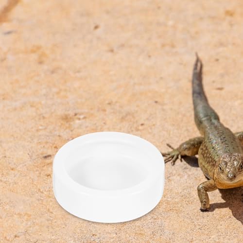 CLISPEED 2 Pcs Ceramics Reptile Feeding Bowl Set for Small Lizards, Round Lizard Feeding Dish with Anti-Escape Design, Safe and Easy to Clean White Bowls for Terrarium Use