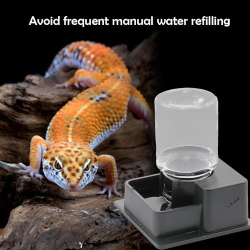 1 Pack Small Reptile Water Bowl Automatic Water Dispenser for Reptile Gecko Lizard Terrarium Bowl Feeder (Black)