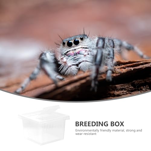 Alipis Reptile Breeding Box Pet Display Container for Turtles Spiders Snakes Lightweight Portable with Stable Ventilation for Fresh Air
