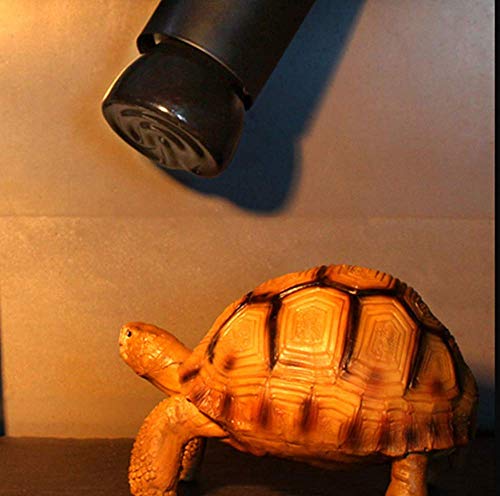 50W Mini Reptile Heat Lamp Bulb(2 Pack) E26/E27 Base,AC110-120V,Pet Infrared Ceramic Heat Emitter, or Reptile Like Lizard,Tortoise,Brooder Coop, Aquarium,Snake,No Light,Black