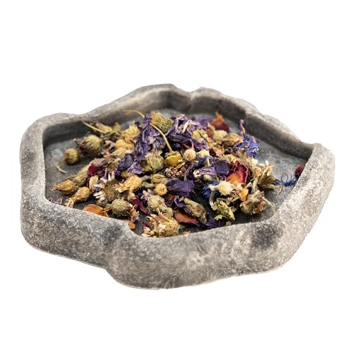 Zoo Med Tortoise & Box Turtle Flower Food Topper 1.4 oz - Pack of 22 - size: 1.4 Ounce (Pack of 2)