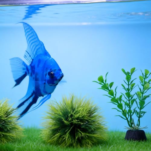 4 Pcs Silk Plants for Fish Tank, Realistic Aquarium Plants Live Decor with Weighted Base, Green Aquascaping Accessories for Betta Tanks, Reptile Terrariums, and Freshwater Setup
