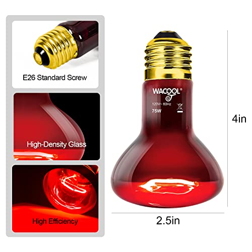 WACOOL 4 Pack Reptile Heat Lamp Bulbs,75W Infrared Basking Spot Light for Reptiles & Amphibians, Red Heat Lamp Bulb for Bearded Dragon Gecko Turtle Lizard (75, Watts)… - style: 75W-4 PACK