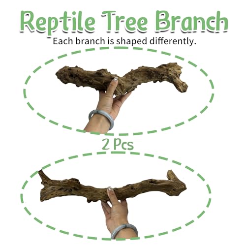 Reptile Cork Bark with Reptile Climbing Decor Thick Wood Branches Snake Habitat Decorations Terrarium Wooden Tree Trunk Ornament