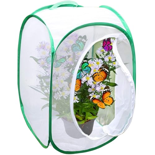SunGrow Foldable Butterfly Habitat, 24" Butterfly Cage for Caterpillars, Create Farm, Enclosure for Breeding Soldier Fly, Ladybug, Dragonfly, or Housefly for Chicken and Reptile Feed, Green