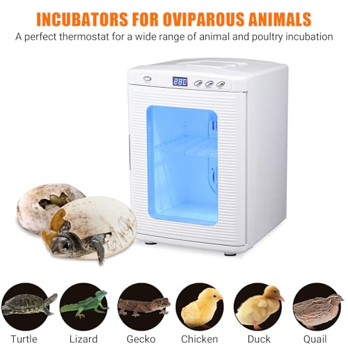 White 25L Reptile Incubator, Science Lab Incubator, Small Egg Hatching, 5-60℃ Cooling & Heating, AC/DC Dual Power, Portable for Home/Lab/Vehicle