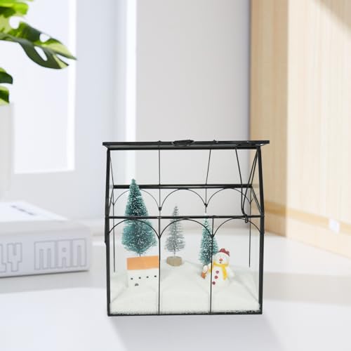 Ferrisland Glass Plant Terrarium Container Wardian Case Indoor Small Succulent Terrarium Planter W/Door for Tabletop Decor DIY (6" L x 4.3" W x 6.3" H) - size: 6" L x 4.3" W x 6.3" H