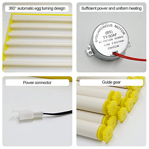 HBtree Automatic Multifunction Incubator Egg Tray Turning Hatcher for Chickens/Ducks/Birds/Poultry（7 Tubes） - color: 7 Tubes