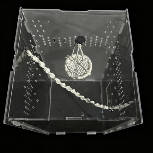 Artificial Reptiles Bed Hammock Platform Terrarium Jungle False Perch Amphibian Habitat Ornaments Basking Platform