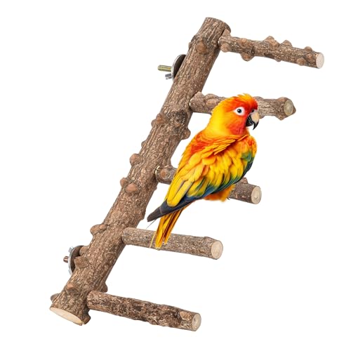 Mogoko Bird Ladder Perch for Cage, Natural Wood Bird Parrot Perch Stand Parrot Perch Bridge Climbing Chewing Toys for Small Medium Animal