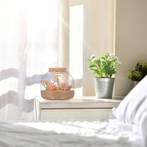 SUPVOX Glass Terrarium with Cork Lid - Glass Plant Terrarium, Plant Jar for Succulents & Small Fish Home & Office