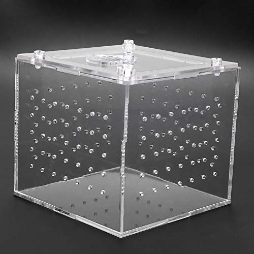 Pomya Transparent Acrylic with Ventilation | Feeding Hole Breeding Box for Insects Crabs Snakes Spiders Lizards