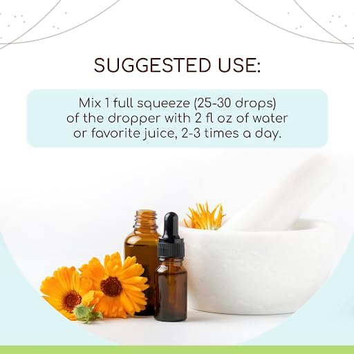 Angelica B120 Alcohol-Free Herbal Extract Tincture, Concentrated Liquid Drops Natural Angelica (Angelica archangelica) Dried Root (4 fl oz)