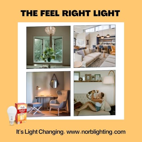 NorbSMILE Soft Full Spectrum Light Bulb | US Patented | A19 LED Bulb & 9W 720 Lumens | 4000K Soft Daylight White, CRI 96 & Dimmable E26 Base | Supports Energy, Mood & Circadian Rhythm - style: Smile Soft 9W (1 Pack)